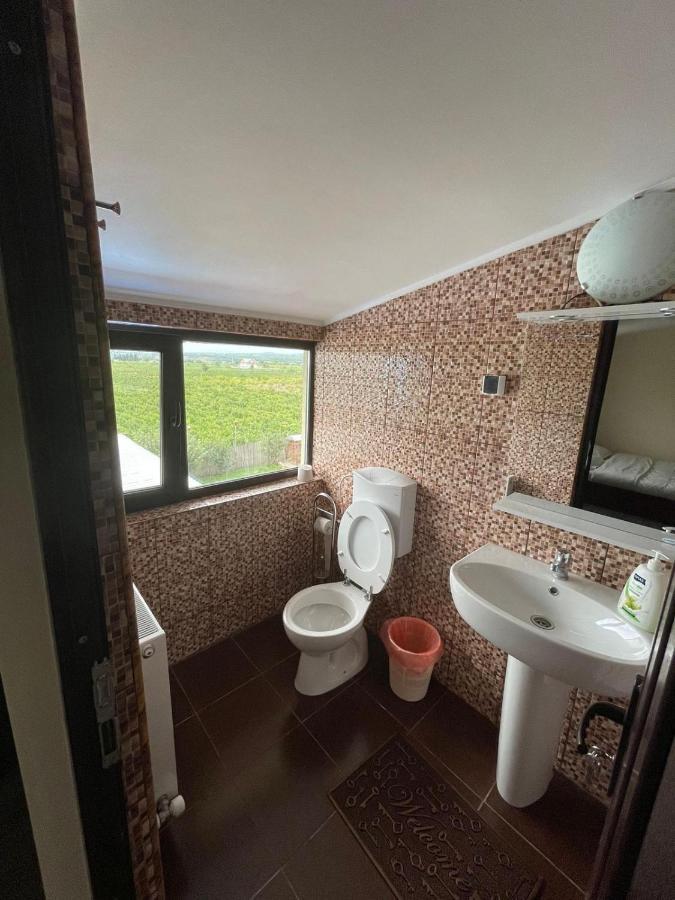 Motel Orion Obrejita Екстериор снимка