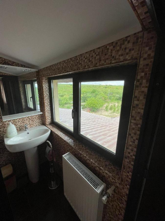 Motel Orion Obrejita Екстериор снимка