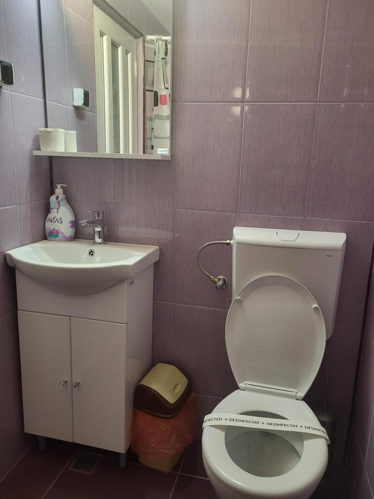 Motel Orion Obrejita Екстериор снимка